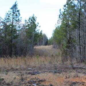 Photo of UNDER CONTRACT!  15 acres of Recreational Land or Sale in Charlotte County VA!