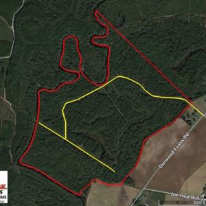 Photo of UNDER CONTRACT!  212 Acre Riverfront Hunting Land for Sale in Duplin County NC!