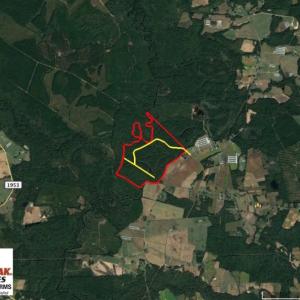 Photo of UNDER CONTRACT!  212 Acre Riverfront Hunting Land for Sale in Duplin County NC!