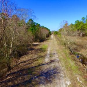 Photo of UNDER CONTRACT!  212 Acre Riverfront Hunting Land for Sale in Duplin County NC!
