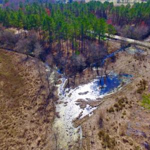 Photo of UNDER CONTRACT!  212 Acre Riverfront Hunting Land for Sale in Duplin County NC!