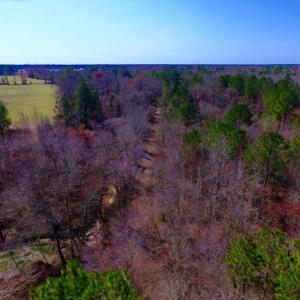 Photo of UNDER CONTRACT!  212 Acre Riverfront Hunting Land for Sale in Duplin County NC!