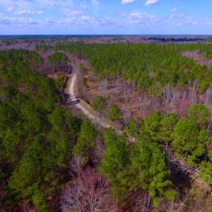 Photo of UNDER CONTRACT!  212 Acre Riverfront Hunting Land for Sale in Duplin County NC!