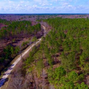 Photo of UNDER CONTRACT!  212 Acre Riverfront Hunting Land for Sale in Duplin County NC!