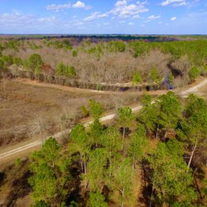 Photo of UNDER CONTRACT!  212 Acre Riverfront Hunting Land for Sale in Duplin County NC!
