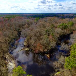 Photo of UNDER CONTRACT!  212 Acre Riverfront Hunting Land for Sale in Duplin County NC!