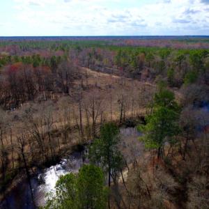 Photo of UNDER CONTRACT!  212 Acre Riverfront Hunting Land for Sale in Duplin County NC!