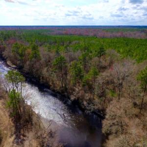 Photo of UNDER CONTRACT!  212 Acre Riverfront Hunting Land for Sale in Duplin County NC!