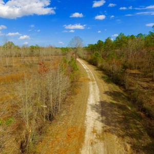 Photo of UNDER CONTRACT!  212 Acre Riverfront Hunting Land for Sale in Duplin County NC!