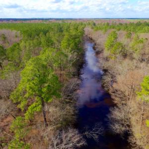 Photo of UNDER CONTRACT!  212 Acre Riverfront Hunting Land for Sale in Duplin County NC!