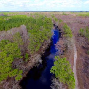 Photo of UNDER CONTRACT!  212 Acre Riverfront Hunting Land for Sale in Duplin County NC!