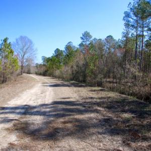 Photo of UNDER CONTRACT!  212 Acre Riverfront Hunting Land for Sale in Duplin County NC!