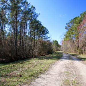 Photo of UNDER CONTRACT!  212 Acre Riverfront Hunting Land for Sale in Duplin County NC!