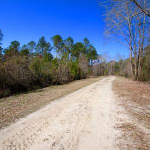 Photo of UNDER CONTRACT!  212 Acre Riverfront Hunting Land for Sale in Duplin County NC!