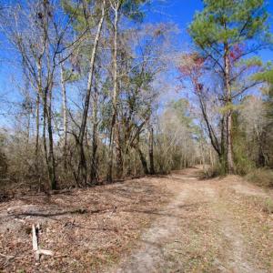Photo of UNDER CONTRACT!  212 Acre Riverfront Hunting Land for Sale in Duplin County NC!