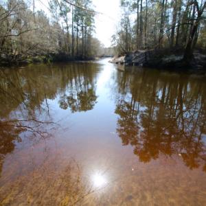 Photo of UNDER CONTRACT!  212 Acre Riverfront Hunting Land for Sale in Duplin County NC!
