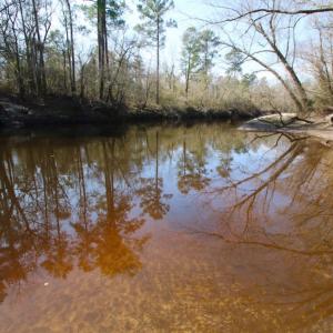 Photo of UNDER CONTRACT!  212 Acre Riverfront Hunting Land for Sale in Duplin County NC!