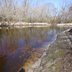 Photo of UNDER CONTRACT!  212 Acre Riverfront Hunting Land for Sale in Duplin County NC!