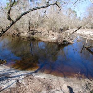 Photo of UNDER CONTRACT!  212 Acre Riverfront Hunting Land for Sale in Duplin County NC!