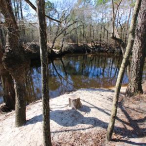Photo of UNDER CONTRACT!  212 Acre Riverfront Hunting Land for Sale in Duplin County NC!