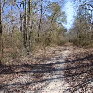 Photo of UNDER CONTRACT!  212 Acre Riverfront Hunting Land for Sale in Duplin County NC!