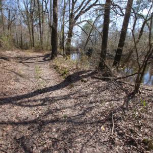 Photo of UNDER CONTRACT!  212 Acre Riverfront Hunting Land for Sale in Duplin County NC!