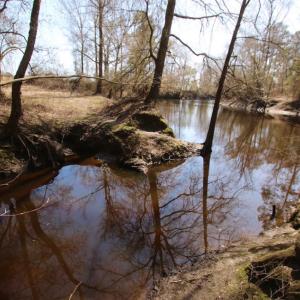 Photo of UNDER CONTRACT!  212 Acre Riverfront Hunting Land for Sale in Duplin County NC!
