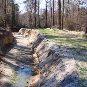 Photo of UNDER CONTRACT!  212 Acre Riverfront Hunting Land for Sale in Duplin County NC!