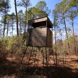 Photo of UNDER CONTRACT!  212 Acre Riverfront Hunting Land for Sale in Duplin County NC!