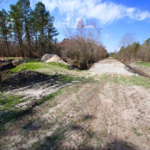 Photo of UNDER CONTRACT!  212 Acre Riverfront Hunting Land for Sale in Duplin County NC!