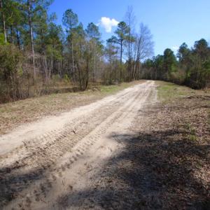 Photo of UNDER CONTRACT!  212 Acre Riverfront Hunting Land for Sale in Duplin County NC!