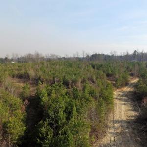 Photo of UNDER CONTRACT!  22.65 Acres of Recreational Land For Sale in Nottoway County VA!