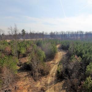 Photo of UNDER CONTRACT!  22.65 Acres of Recreational Land For Sale in Nottoway County VA!