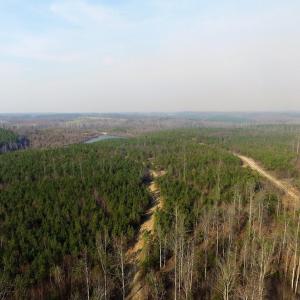 Photo of UNDER CONTRACT!  22.65 Acres of Recreational Land For Sale in Nottoway County VA!