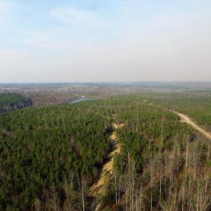Photo of UNDER CONTRACT!  22.65 Acres of Recreational Land For Sale in Nottoway County VA!