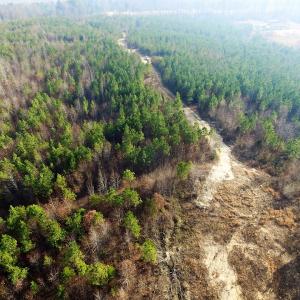 Photo of UNDER CONTRACT!  22.65 Acres of Recreational Land For Sale in Nottoway County VA!