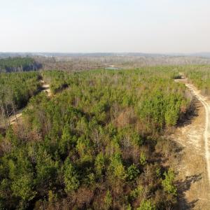 Photo of UNDER CONTRACT!  22.65 Acres of Recreational Land For Sale in Nottoway County VA!