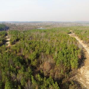Photo of UNDER CONTRACT!  22.65 Acres of Recreational Land For Sale in Nottoway County VA!