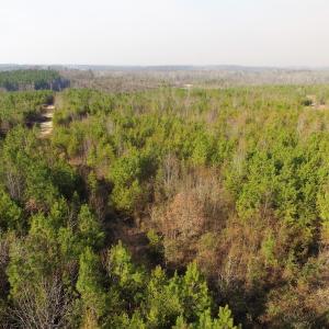Photo of UNDER CONTRACT!  22.65 Acres of Recreational Land For Sale in Nottoway County VA!
