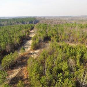 Photo of UNDER CONTRACT!  22.65 Acres of Recreational Land For Sale in Nottoway County VA!