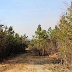 Photo of UNDER CONTRACT!  22.65 Acres of Recreational Land For Sale in Nottoway County VA!