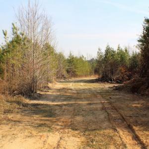 Photo of UNDER CONTRACT!  22.65 Acres of Recreational Land For Sale in Nottoway County VA!