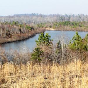 Photo of UNDER CONTRACT!  22.65 Acres of Recreational Land For Sale in Nottoway County VA!
