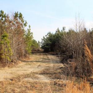 Photo of UNDER CONTRACT!  22.65 Acres of Recreational Land For Sale in Nottoway County VA!