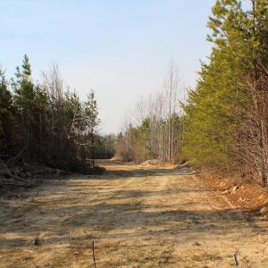 Photo of UNDER CONTRACT!  22.65 Acres of Recreational Land For Sale in Nottoway County VA!