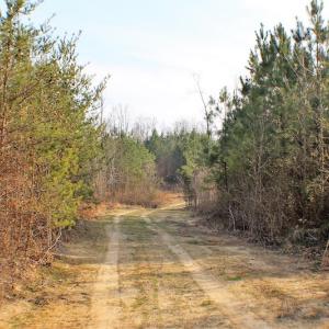 Photo of UNDER CONTRACT!  22.65 Acres of Recreational Land For Sale in Nottoway County VA!
