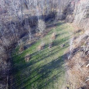 Photo of SOLD!  43 Acres of Recreational Land For Sale in Nottoway County VA!