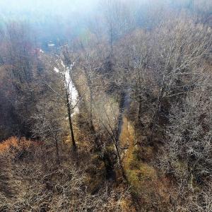 Photo of SOLD!  43 Acres of Recreational Land For Sale in Nottoway County VA!