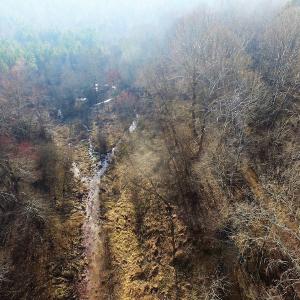 Photo of SOLD!  43 Acres of Recreational Land For Sale in Nottoway County VA!