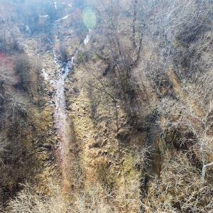 Photo of SOLD!  43 Acres of Recreational Land For Sale in Nottoway County VA!